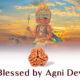 Three Mukhi Rudraksh